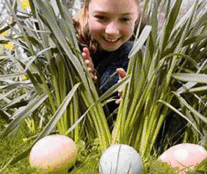 Easter Egg Hunt Photo Gallery