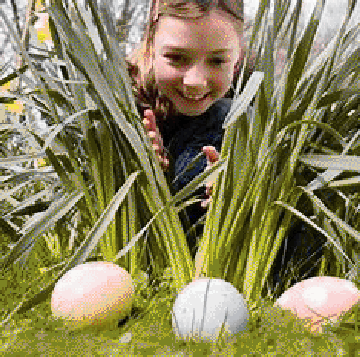 Easter Egg Hunt Photo Gallery